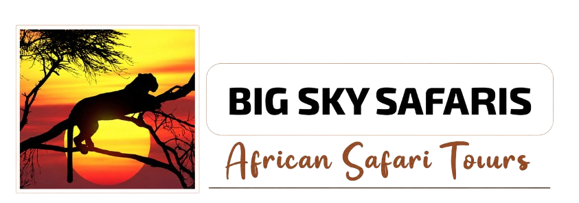 Big Sky Safaris